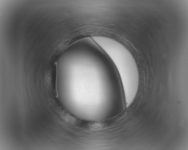X0000062930513200601131118