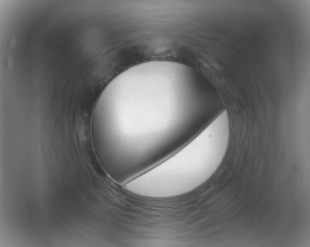 X0000062930515200601131117