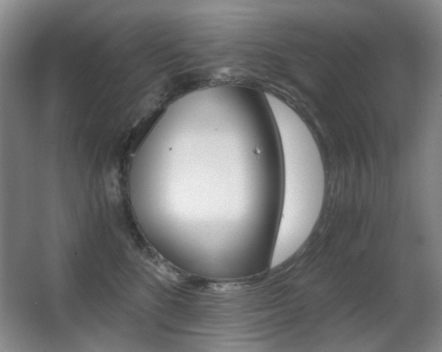X0000062930520200601131117