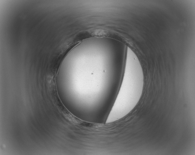 X0000062930521200601131117