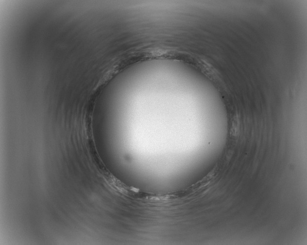 X0000062930524200601131117