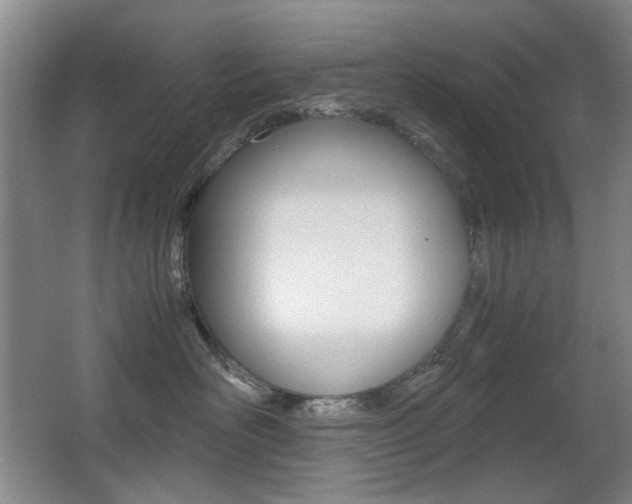 X0000062930526200601131117