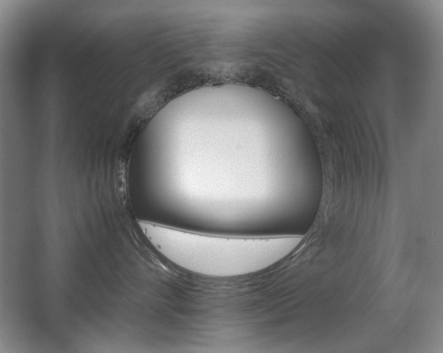 X0000062930528200601131117