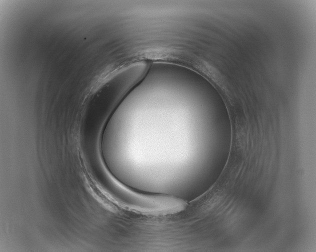 X0000062930530200601131116