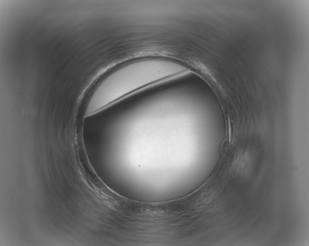 X0000062930531200601131116