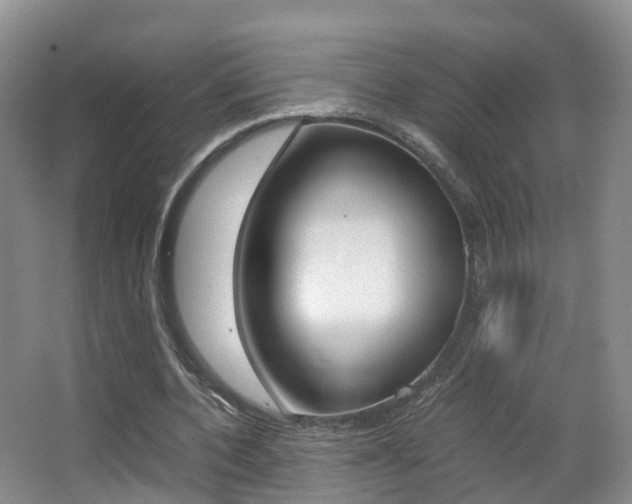 X0000062930532200601131116