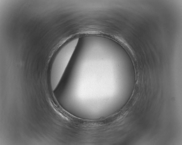 X0000062930533200601131116