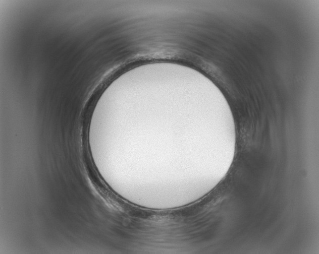 X0000062930534200601131116