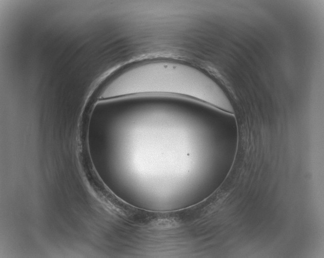 X0000062930536200601131117