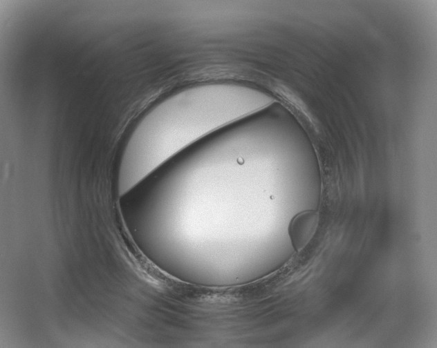 X0000062930537200601131117