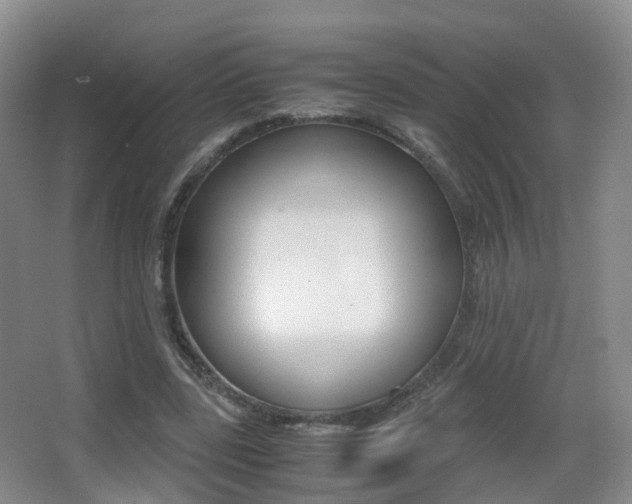 X0000062930539200601131117