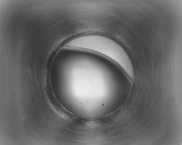 X0000062930544200601131117