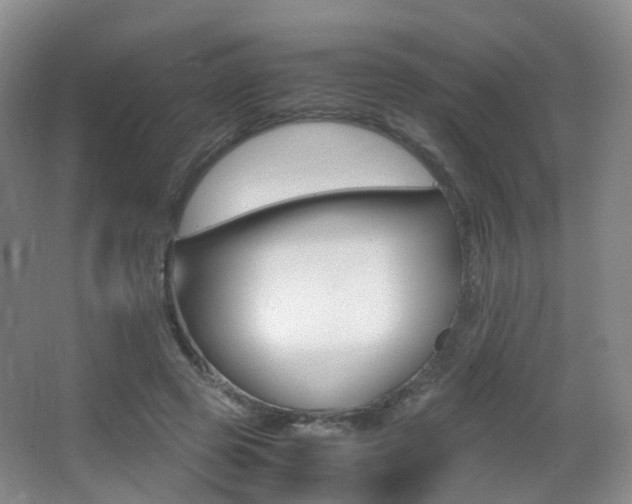 X0000062930545200601131117