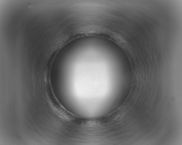 X0000062930546200601131117