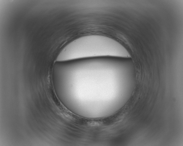 X0000062930549200601131117