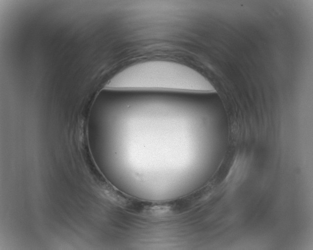 X0000062930554200601131117