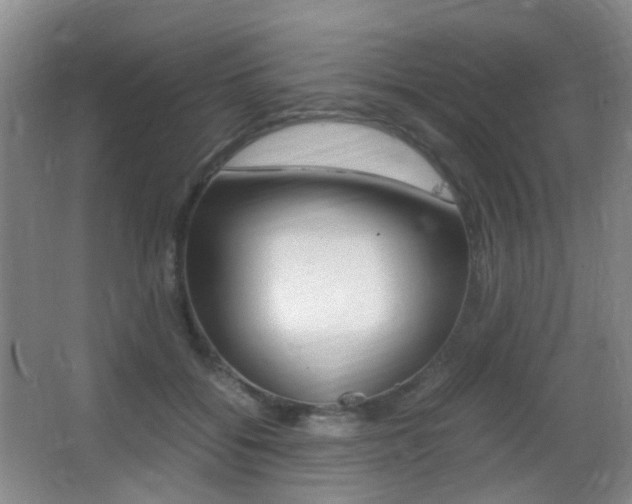 X0000062930556200601131117
