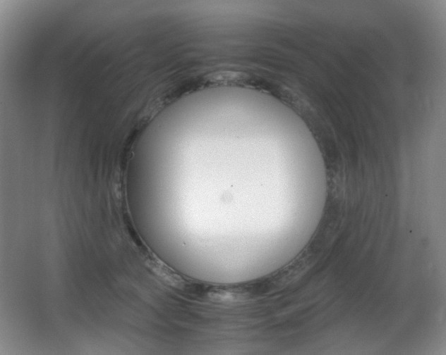 X0000062930561200601131117