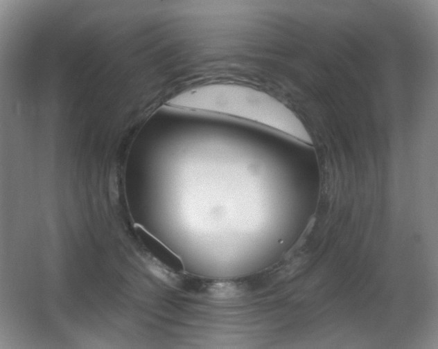 X0000062930562200601131117