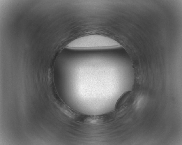 X0000062930563200601131117