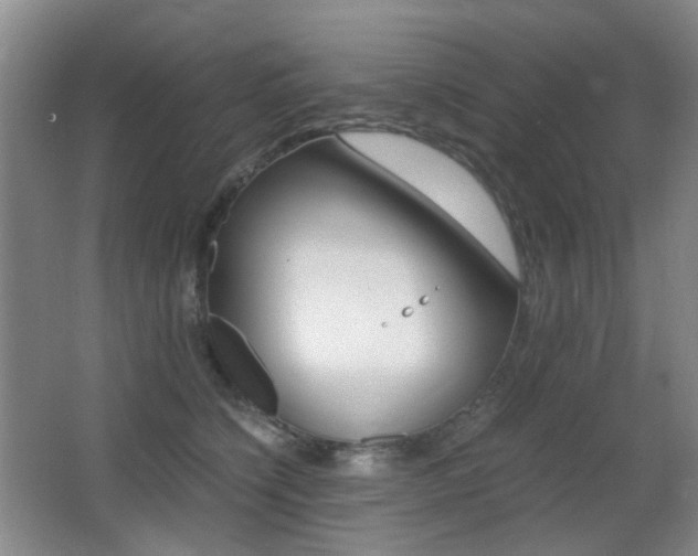 X0000062930564200601131117