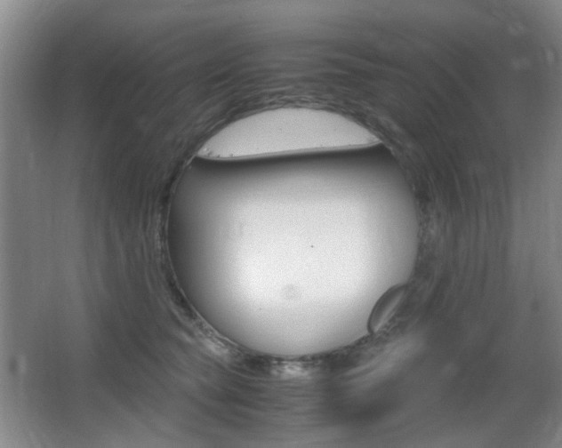 X0000062930565200601131117