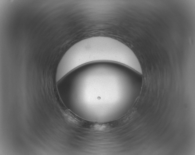 X0000062930570200601131117