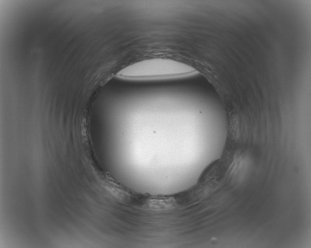 X0000062930571200601131117