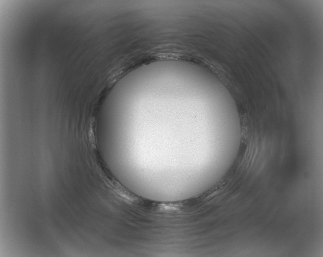 X0000062930573200601131117