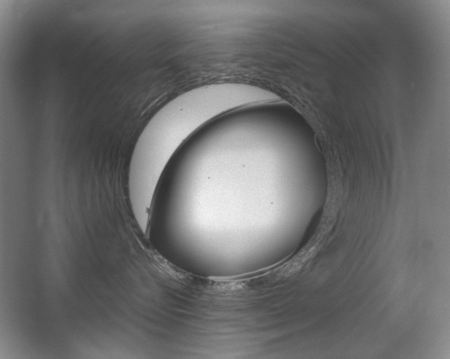 X0000062930576200601131117