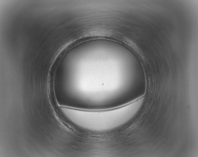 X0000062930580200601131116