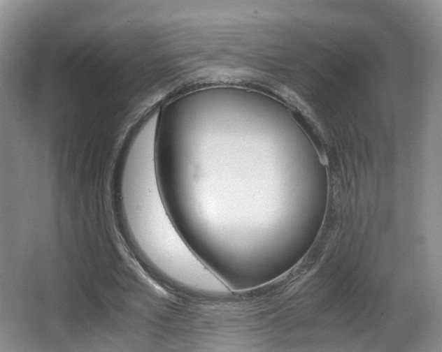 X0000062930581200601131116