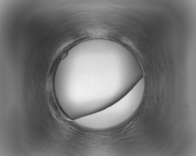 X0000062930583200601131116