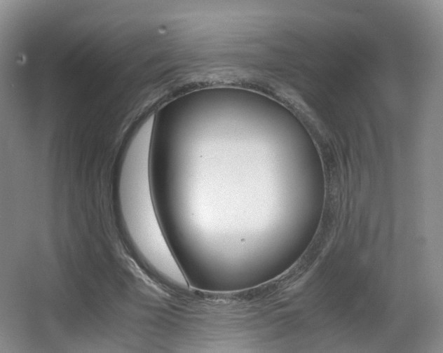 X0000062930585200601131116