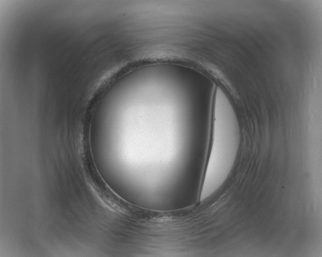 X0000062930588200601131116