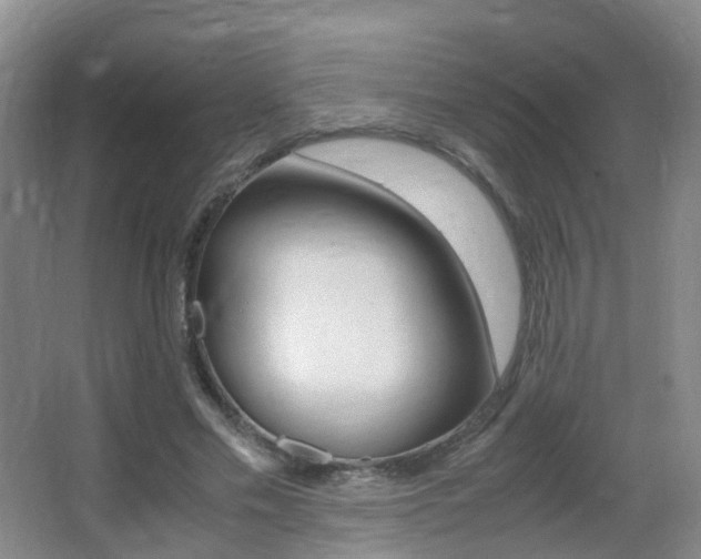 X0000062930589200601131116