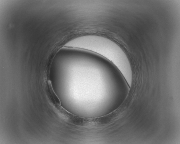 X0000062930593200601131116