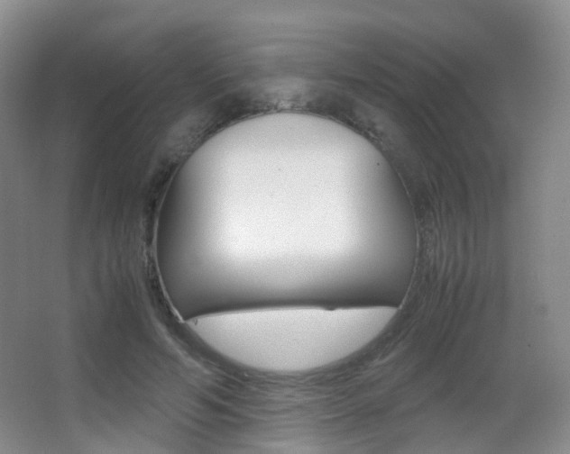 X0000062930594200601131116