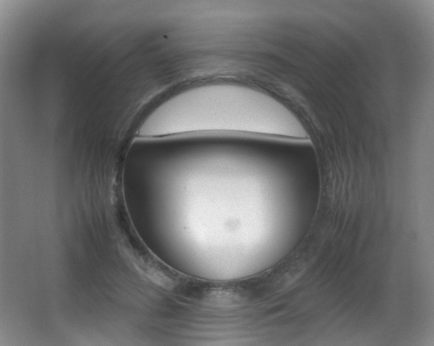 X0000062930596200601131116