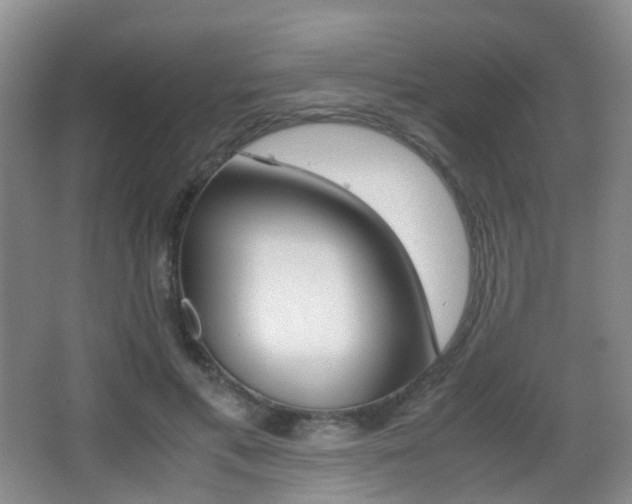 X0000062930597200601131116
