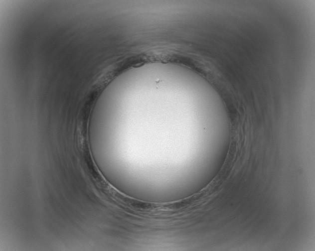 X0000062930599200601131116