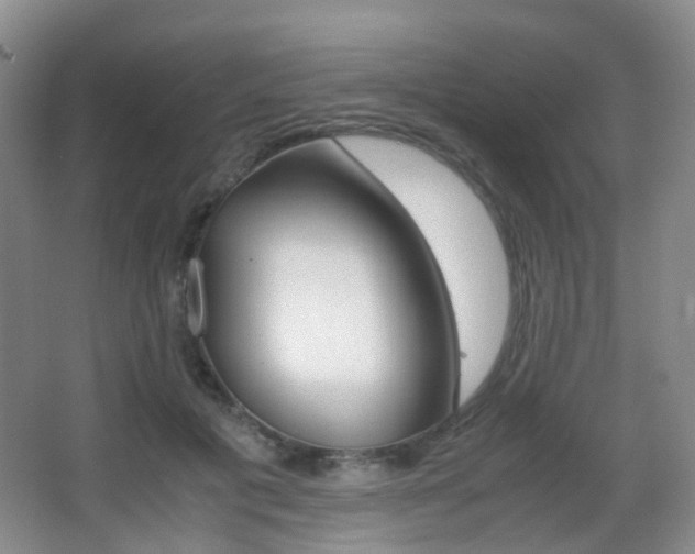 X0000062930601200601131116