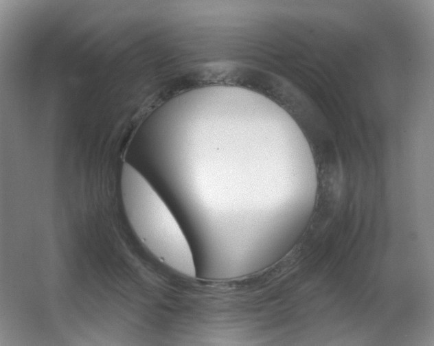 X0000062930602200601131116