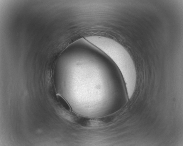 X0000062930605200601131116