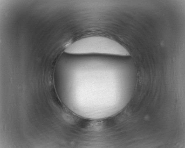 X0000062930606200601131116