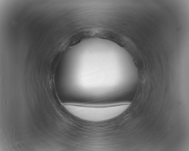 X0000062930607200601131116