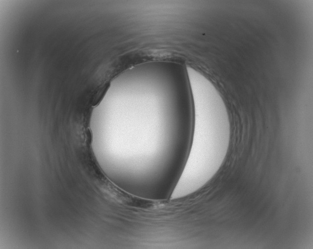 X0000062930609200601131116