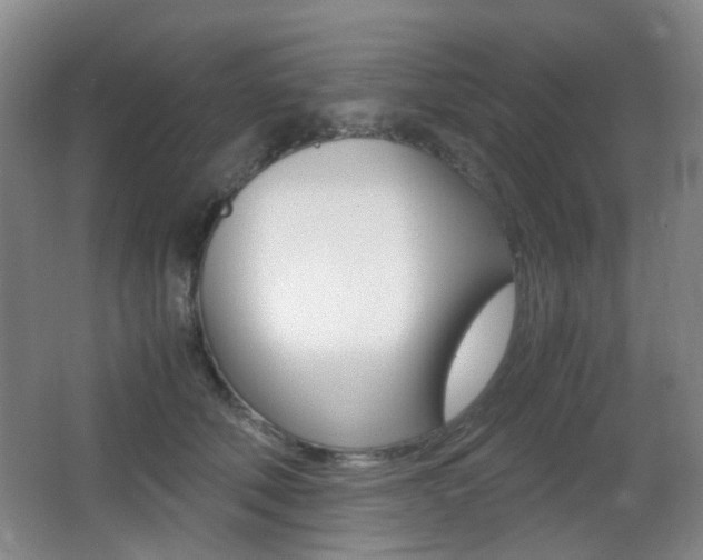 X0000062930610200601131116