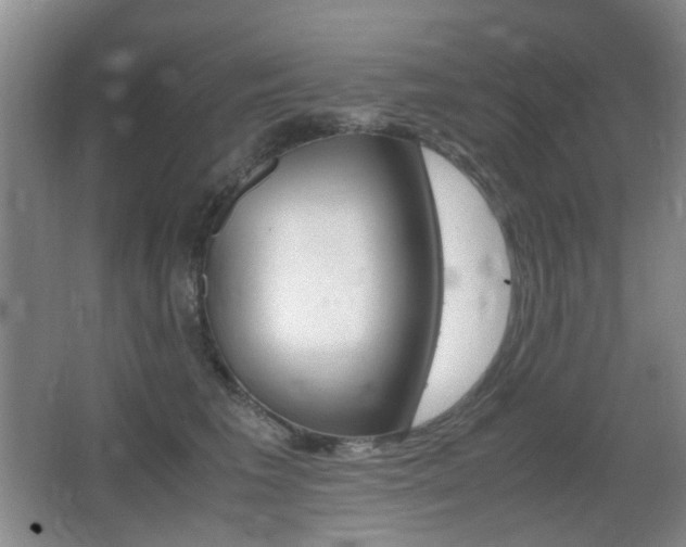 X0000062930613200601131116