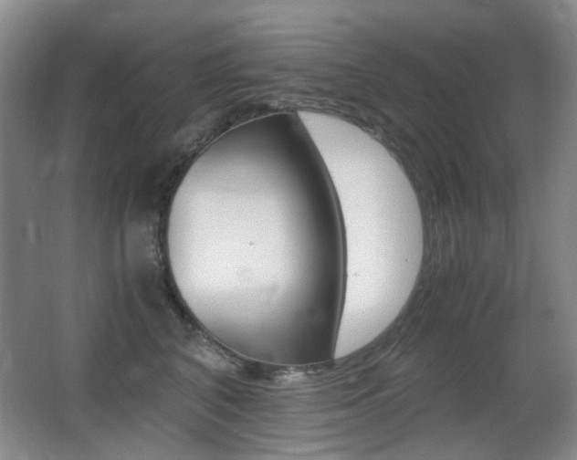 X0000062930616200601131116